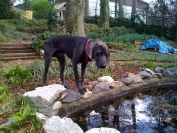 missionbound profile photo