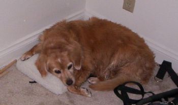 jen1969 profile photo