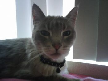 krystle0102 profile photo