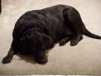 rocketmandan profile photo