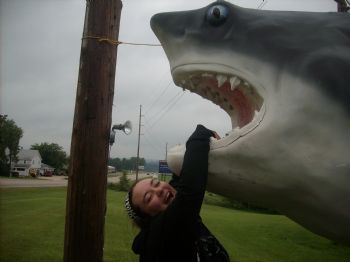 Strudel17 profile photo