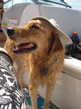 yakyjac profile photo