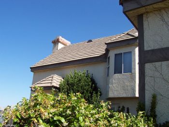 msheart profile photo