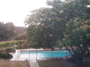 msheart profile photo