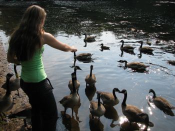 seeqwet profile photo