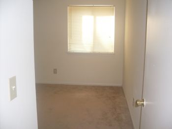 Lachlan profile photo