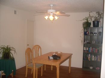 Lachlan profile photo