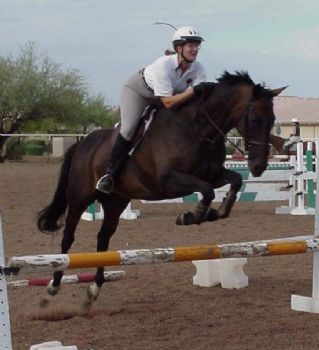 sschoono profile photo