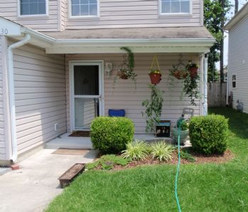 ademmelmaier profile photo