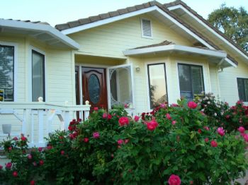 Landlordliz profile photo