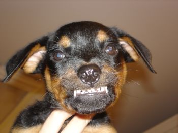 pkr316 profile photo