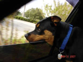 pkr316 profile photo