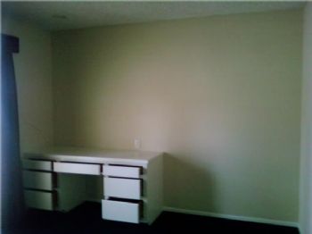 dmgjohnson profile photo