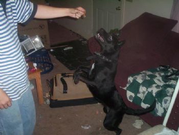 JessiLynn profile photo