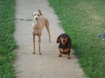 Sbraswell profile photo