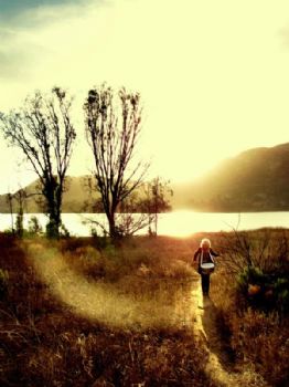 kristinshaw profile photo