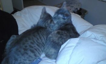 jessika0929 profile photo