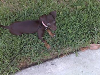 jessika0929 profile photo