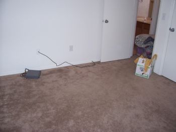 xnikkix profile photo