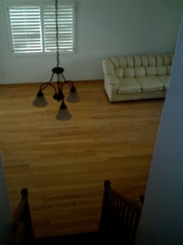 minellrob profile photo