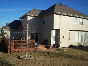 cnovot profile photo