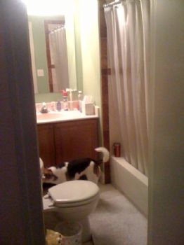 debbs1979 profile photo