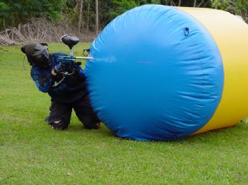 davethebabe profile photo