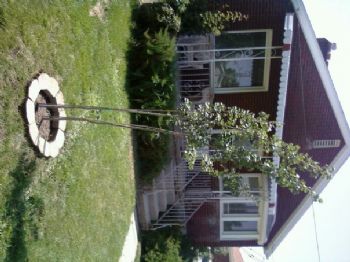 onepoolshark profile photo