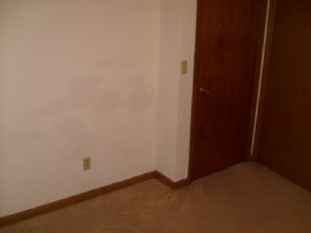 andoking profile photo