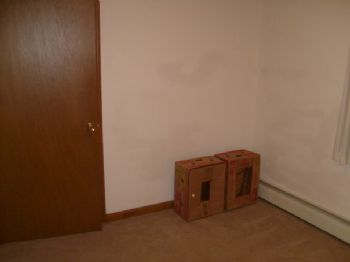 andoking profile photo