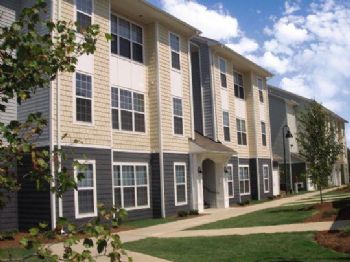 leendatc profile photo