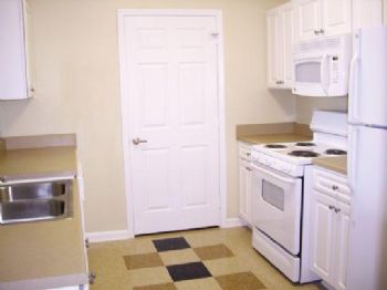 leendatc profile photo