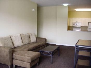 leendatc profile photo