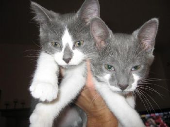 29mike profile photo