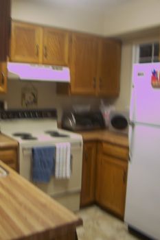 mhannan profile photo