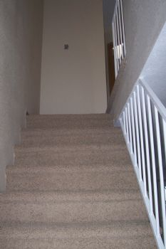 mhannan profile photo