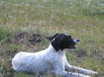 jcolbert profile photo