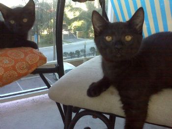 reillyamr profile photo