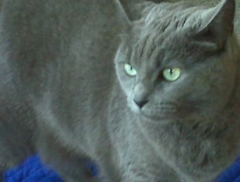 reillyamr profile photo