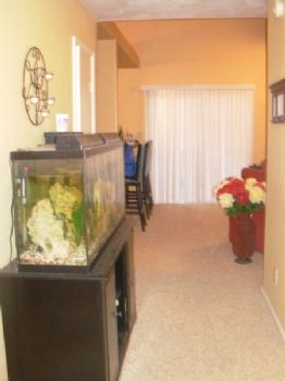 kms1980 profile photo