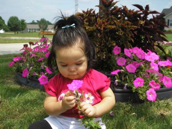 kazevedo profile photo