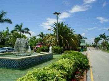 seaspray profile photo