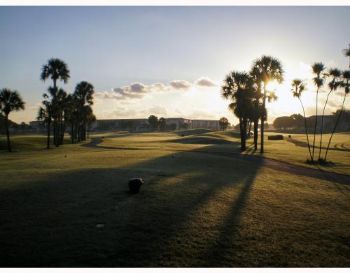 seaspray profile photo