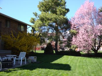 seidld profile photo