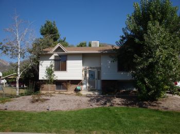 seidld profile photo