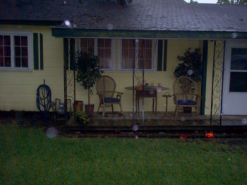 sfllok profile photo