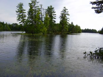 crusador profile photo