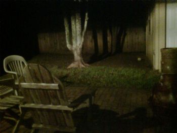 karenblancha profile photo