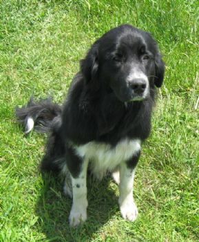 circlhill profile photo