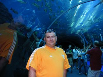 safetyguru profile photo